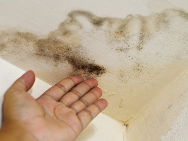 How To Get Rid Of Ceiling Water Stain The Money Pit