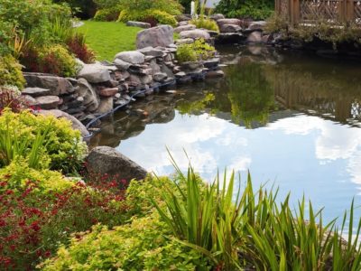 install koi pond