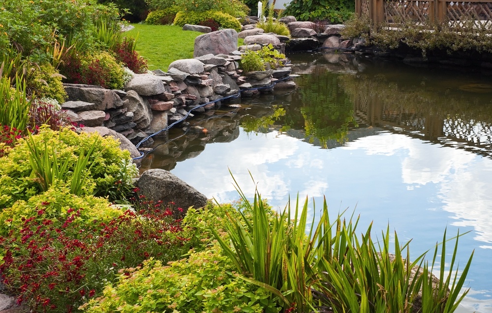 install koi pond