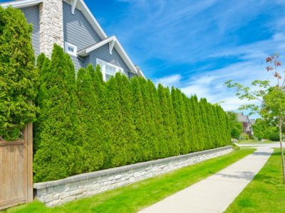 xeriscaping, trees, sound barrier, noise blocking