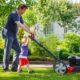 How to restore a lawn in 10 steps