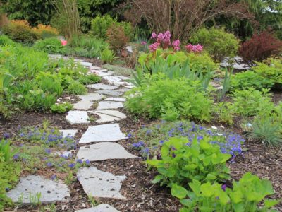 weeds, gardening, weeds show gardening sucess