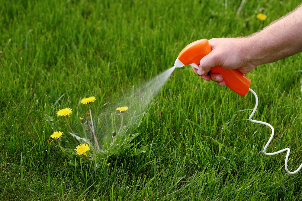 eliminate weeds