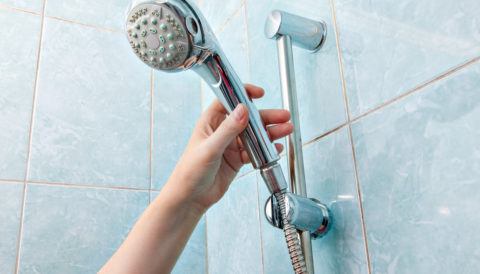 handheld shower head
