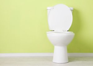 how to drain a toilet