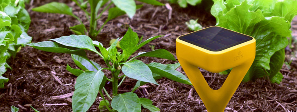 Edyn garden sensor