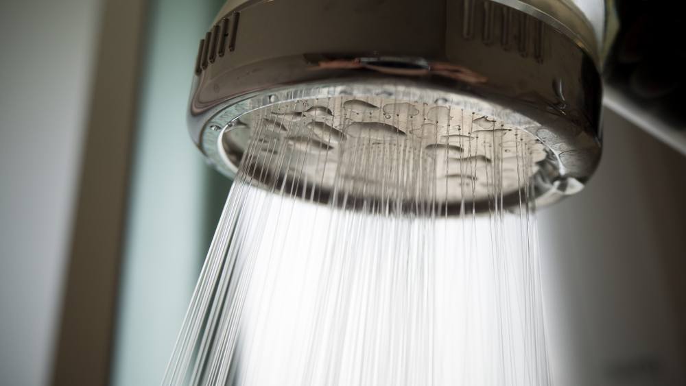 Shower Head