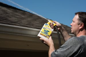 clean roof streaks