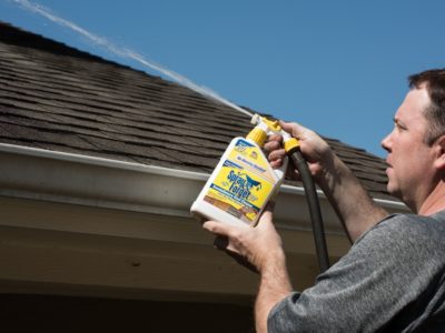 clean roof streaks