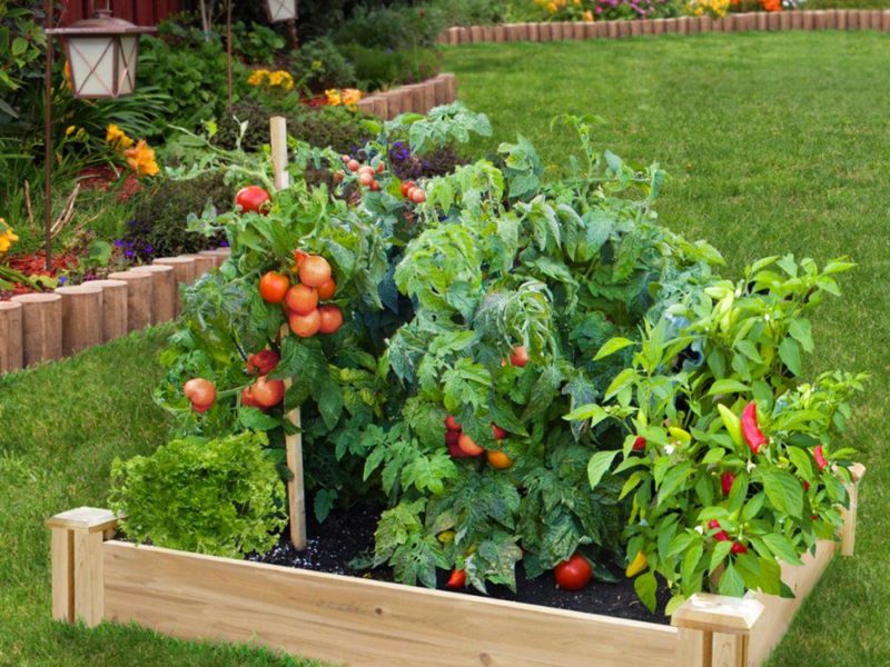 how to build a raised garden bed, home depot gardening article may 2017 Raised garden bed