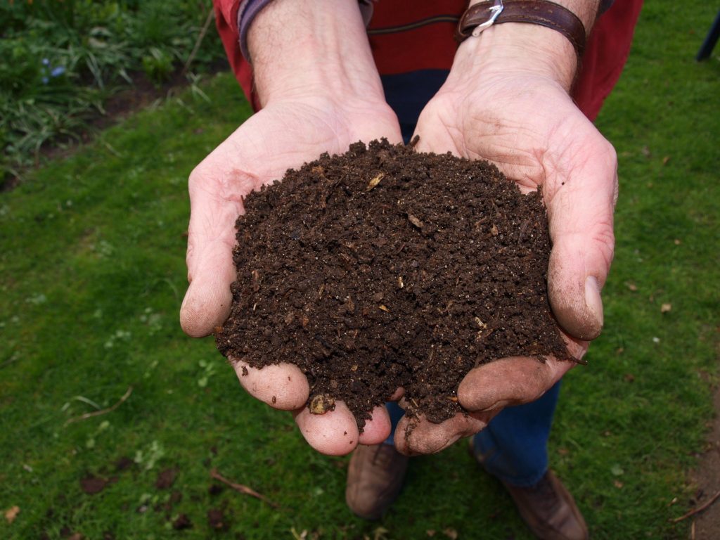 Hands holding rich garden compost