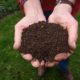 Hands holding rich garden compost