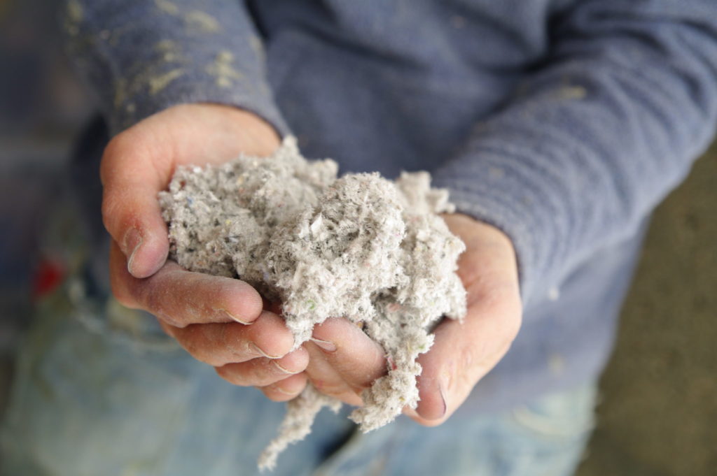 Hands holding loose cellulose insulation