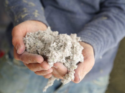 Hands holding loose cellulose insulation