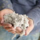 Hands holding loose cellulose insulation