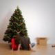 Christmas Tree Recycling