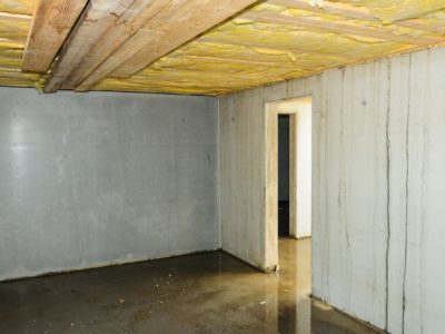 Basement with a wet floor