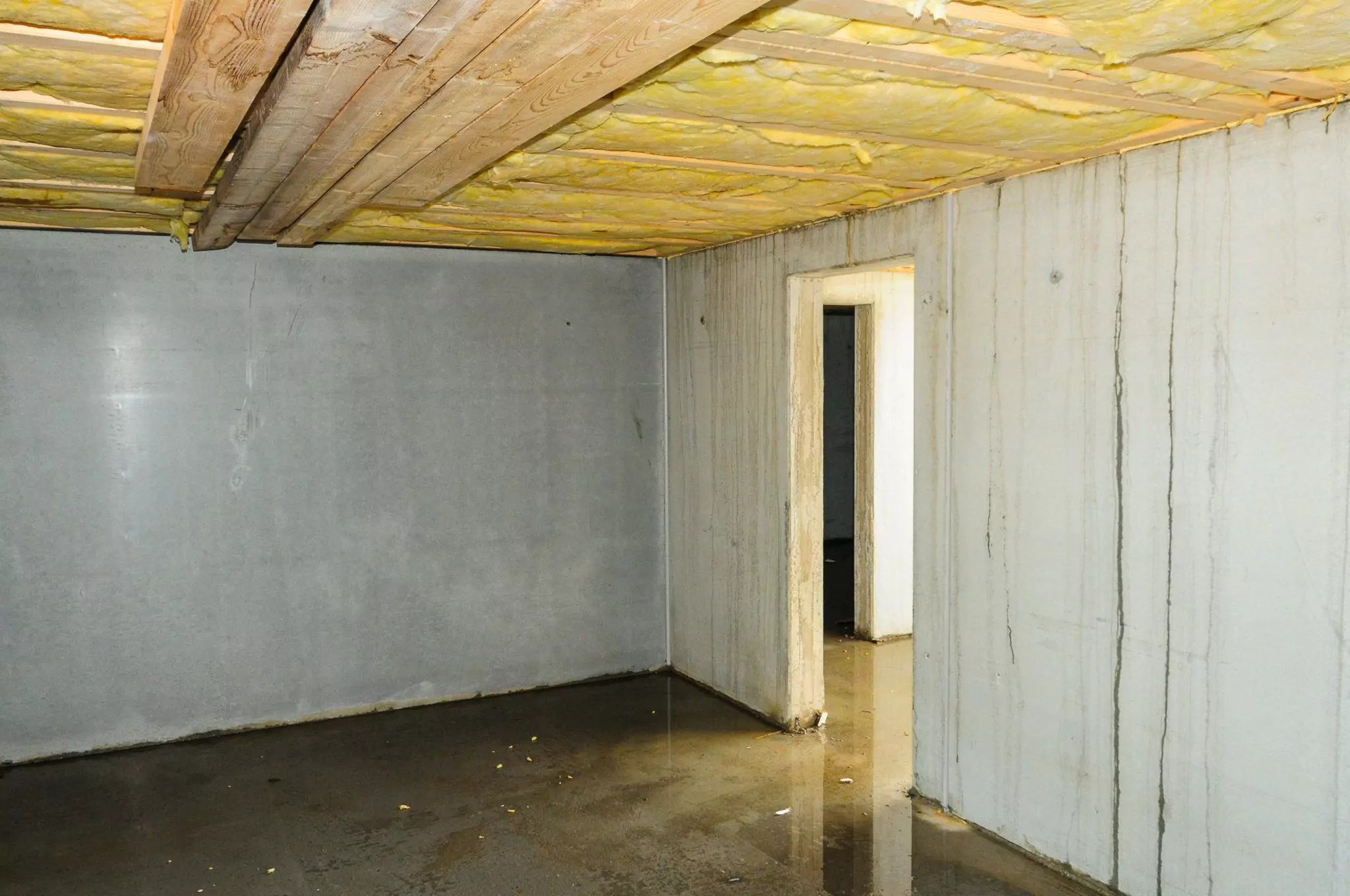 Basement with a wet floor