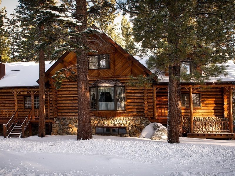 Vacation cabin in woods