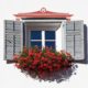 exterior shutter projects you can do yourself