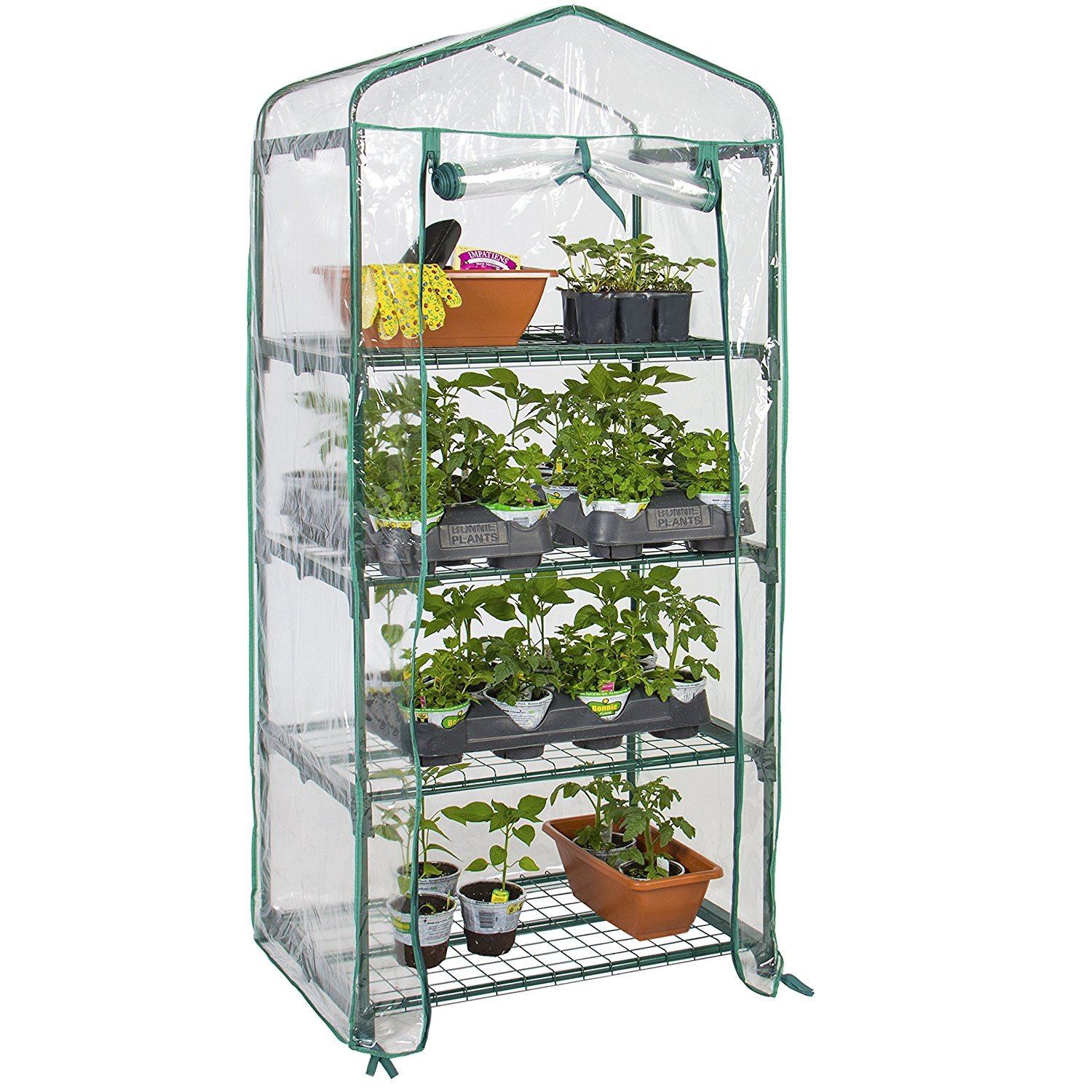 Miniature, shelf styled greenhouse with plants on each shelf