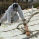 Technician applying spray foam insulation