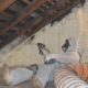 Man applying spray foam in attic