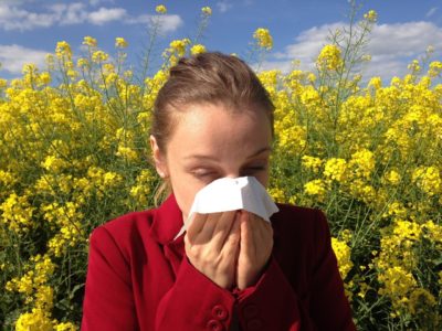 Woman sneezing during allergy season