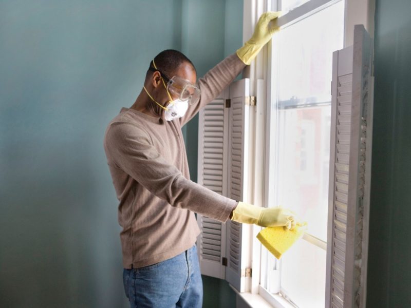 Mold on Clothing When Mold Spores Attach » The Money Pit