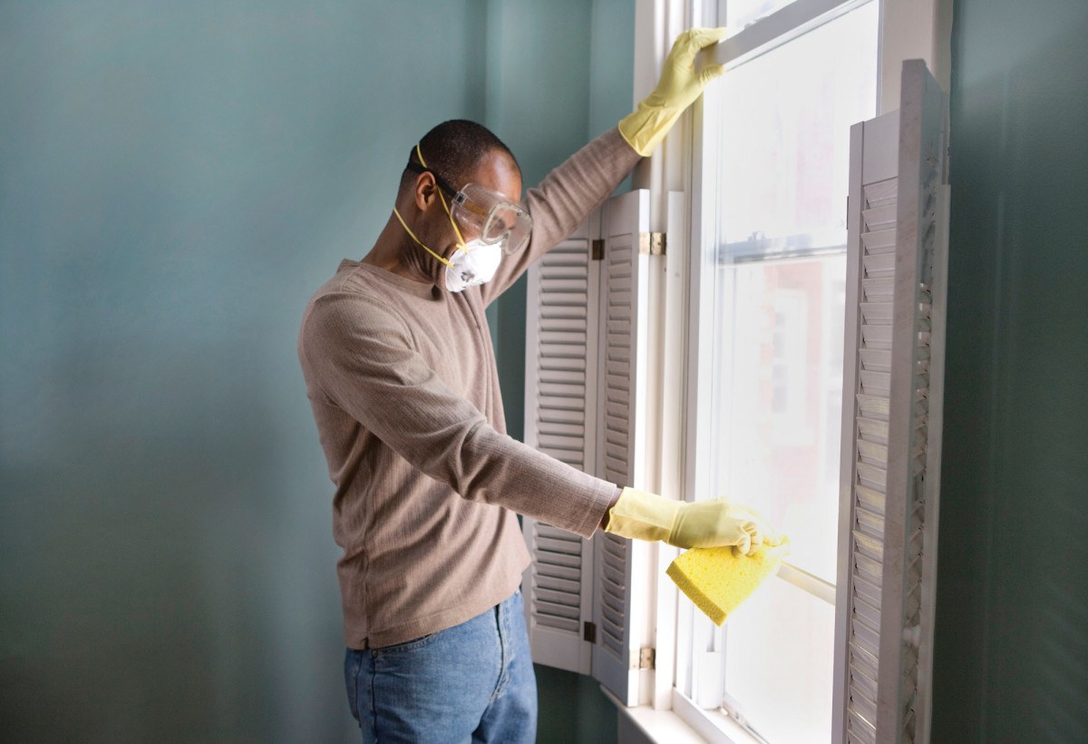 mold removal