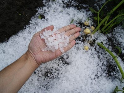 dealing with hail