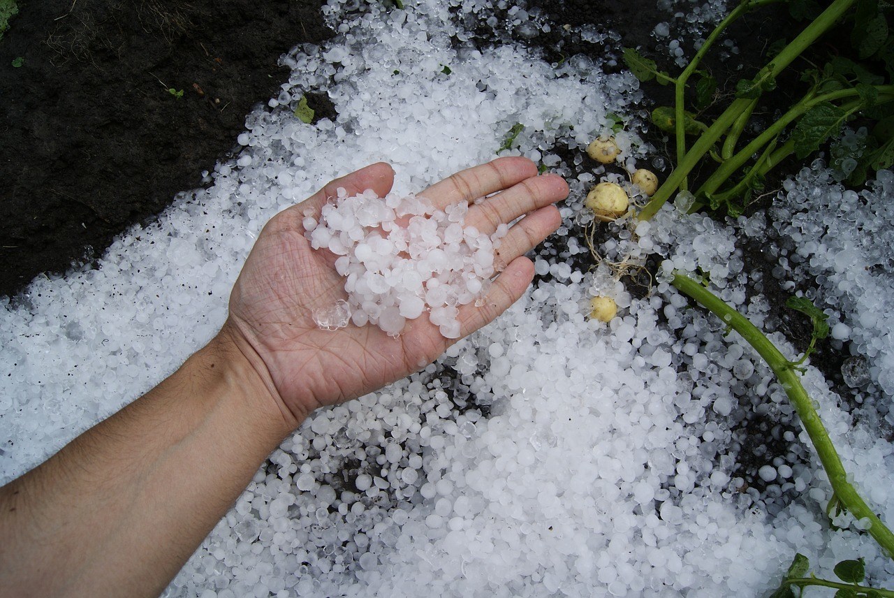 dealing with hail