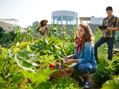 community garden