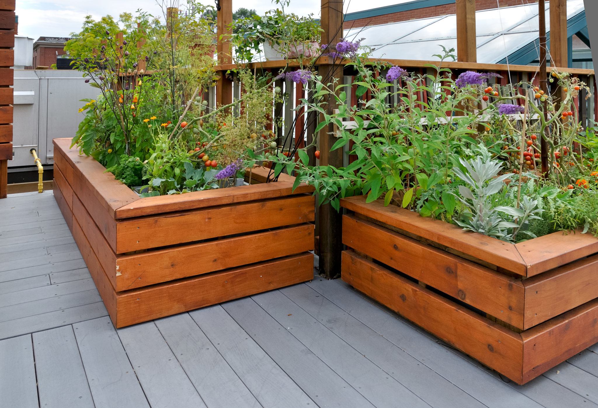 roof garden