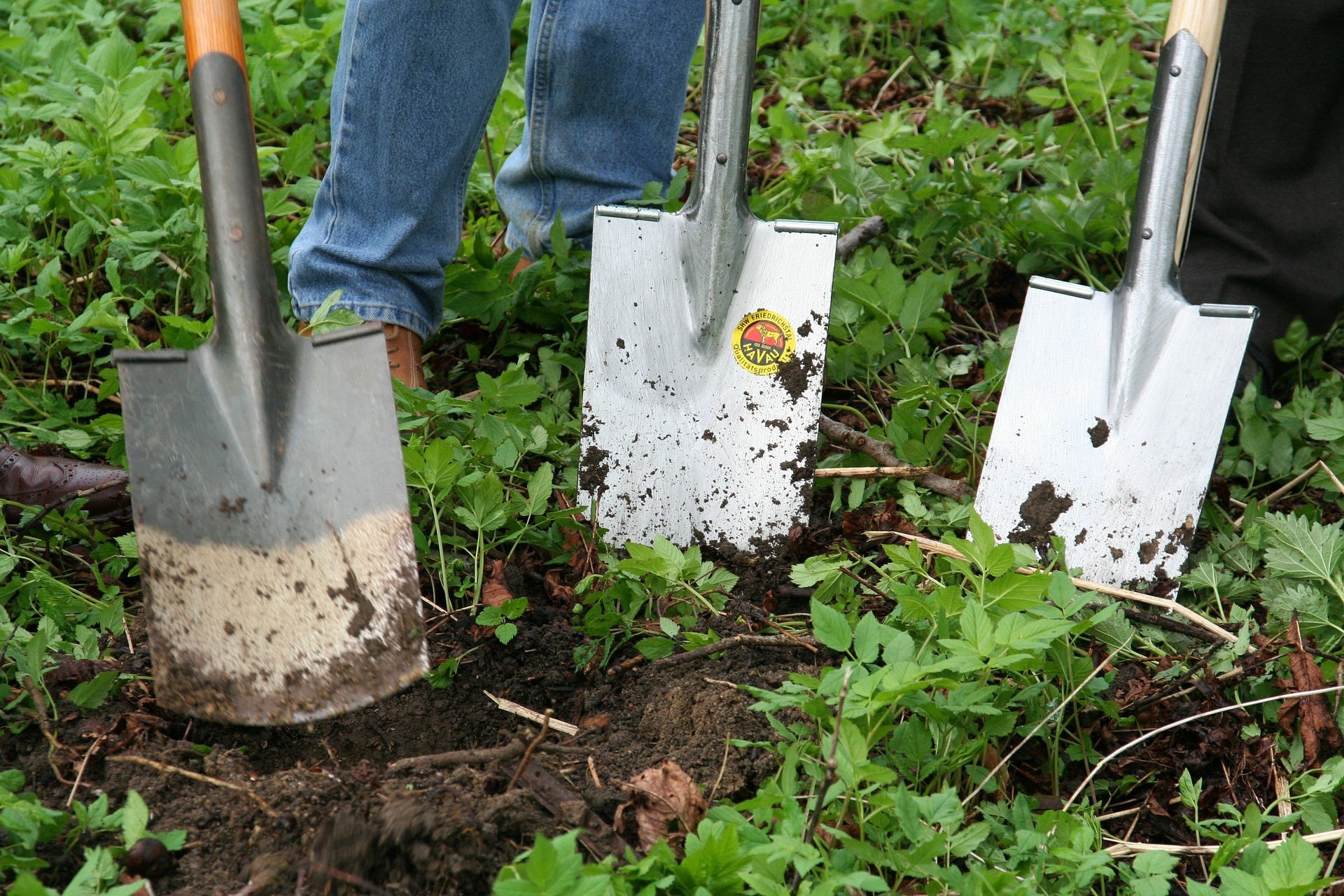 community garden