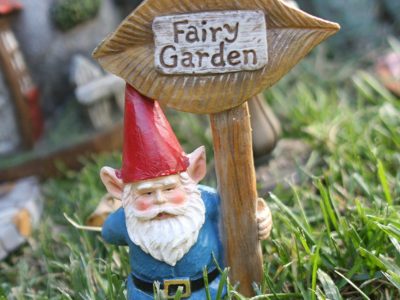 fairy garden, enchanted garden, gnome garden