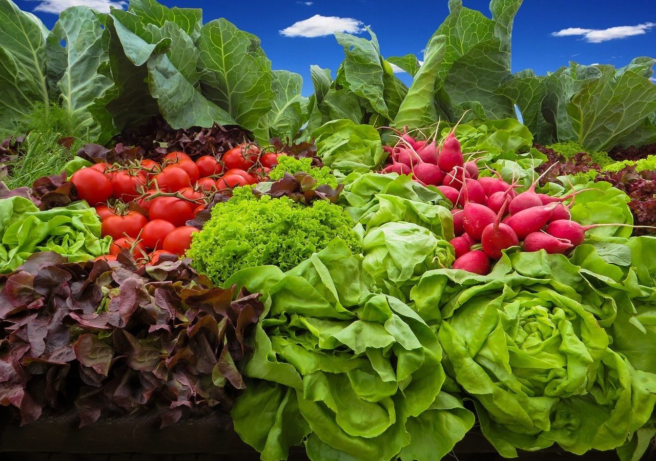 Cool Season Gardening What Vegetables To Plant Now The Money Pit