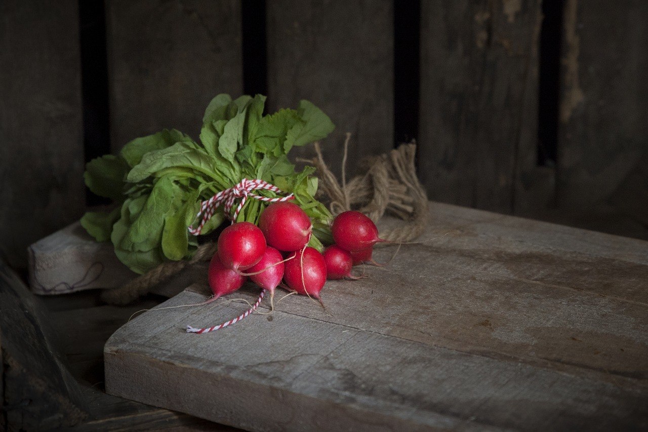 fall vegetable garden