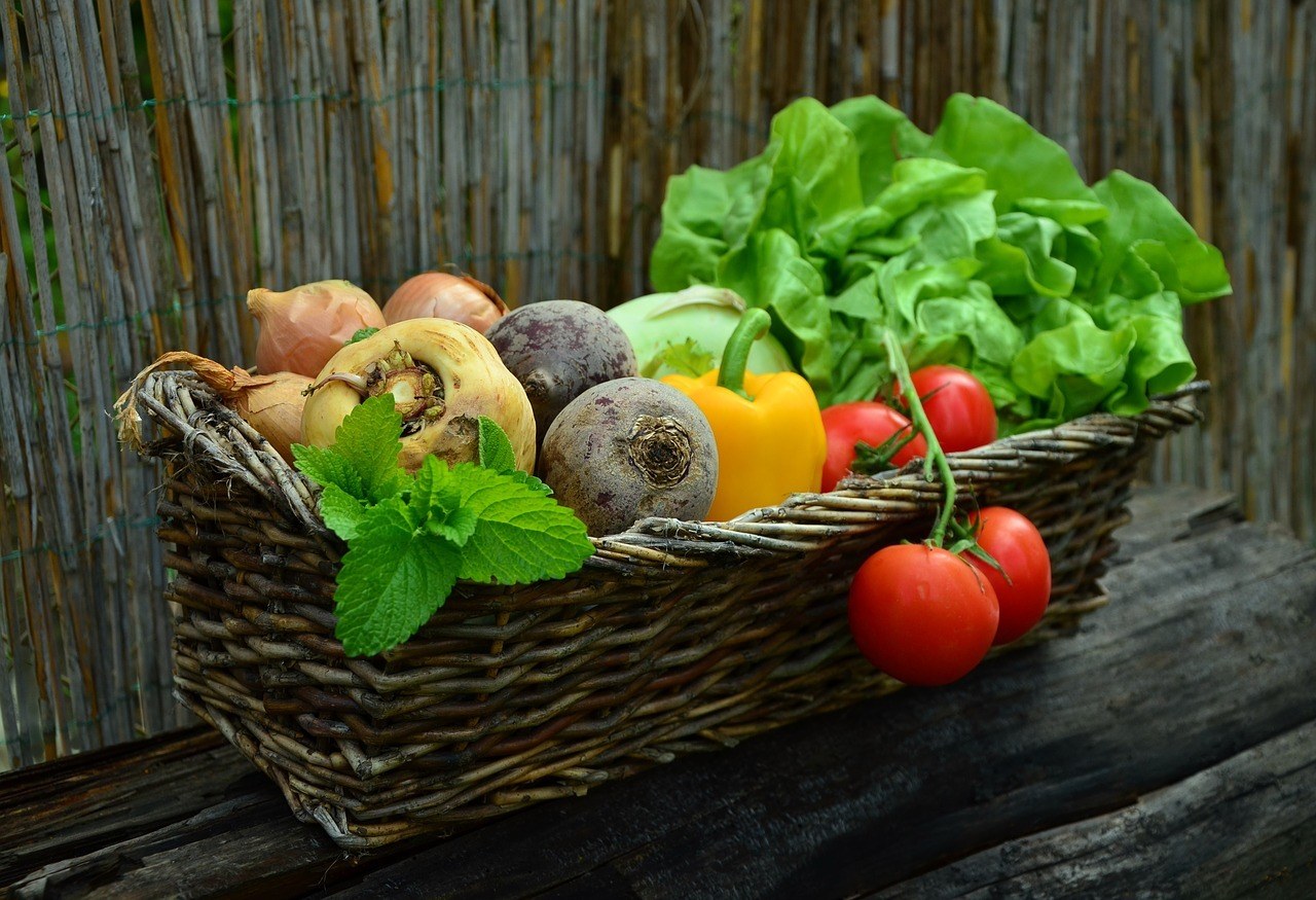 community garden