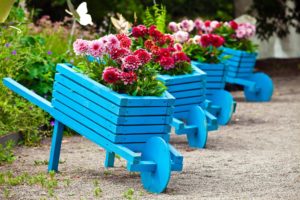 unique garden