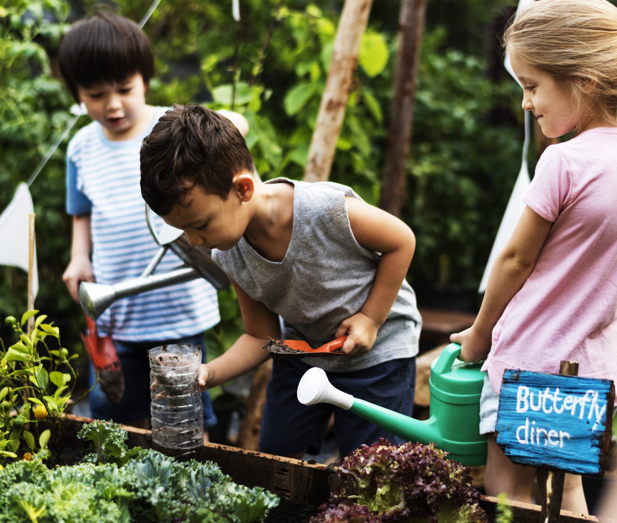 children's garden