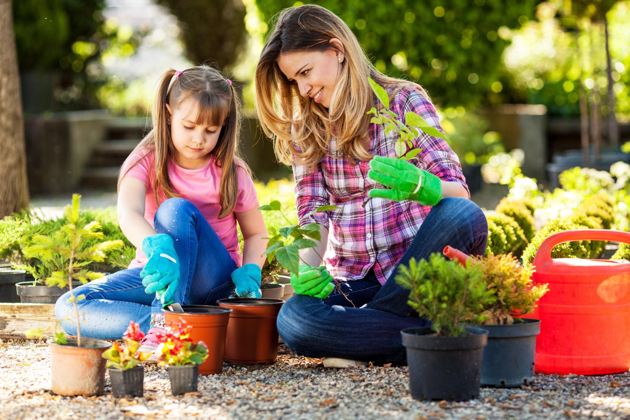 children's garden