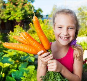 children's garden, harvest vegetables, fall vegetable garden