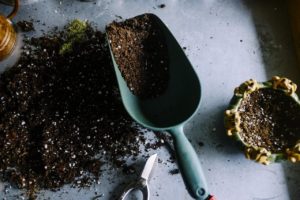 container gardening