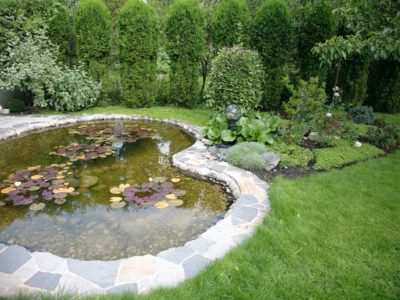 garden makeover