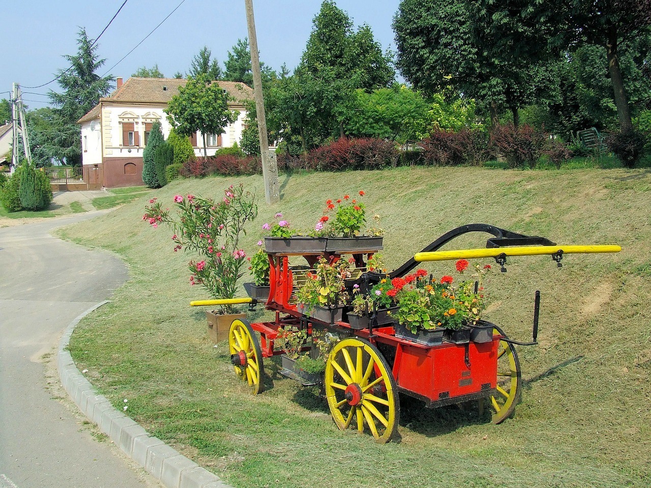 unique garden