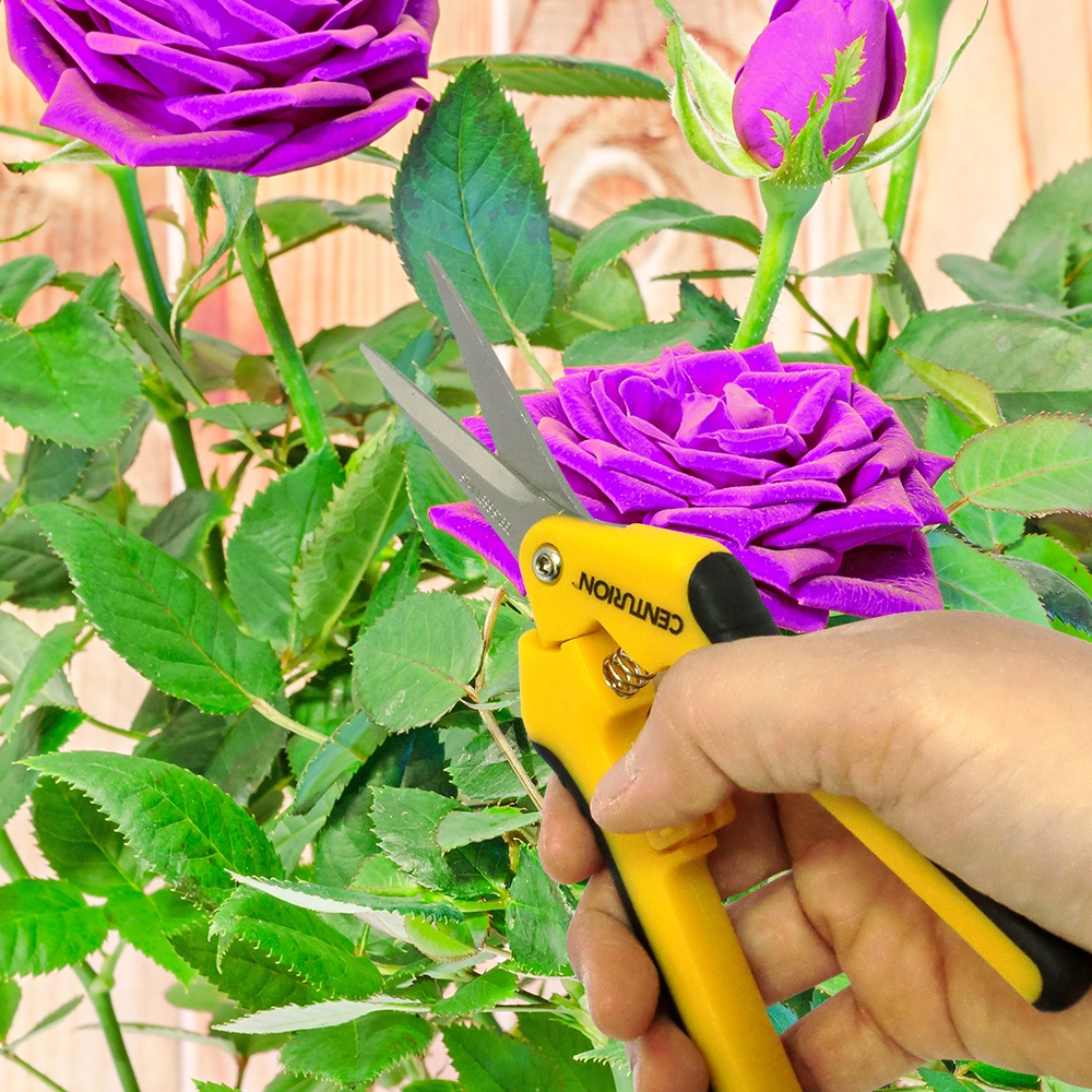 Pruning flowers