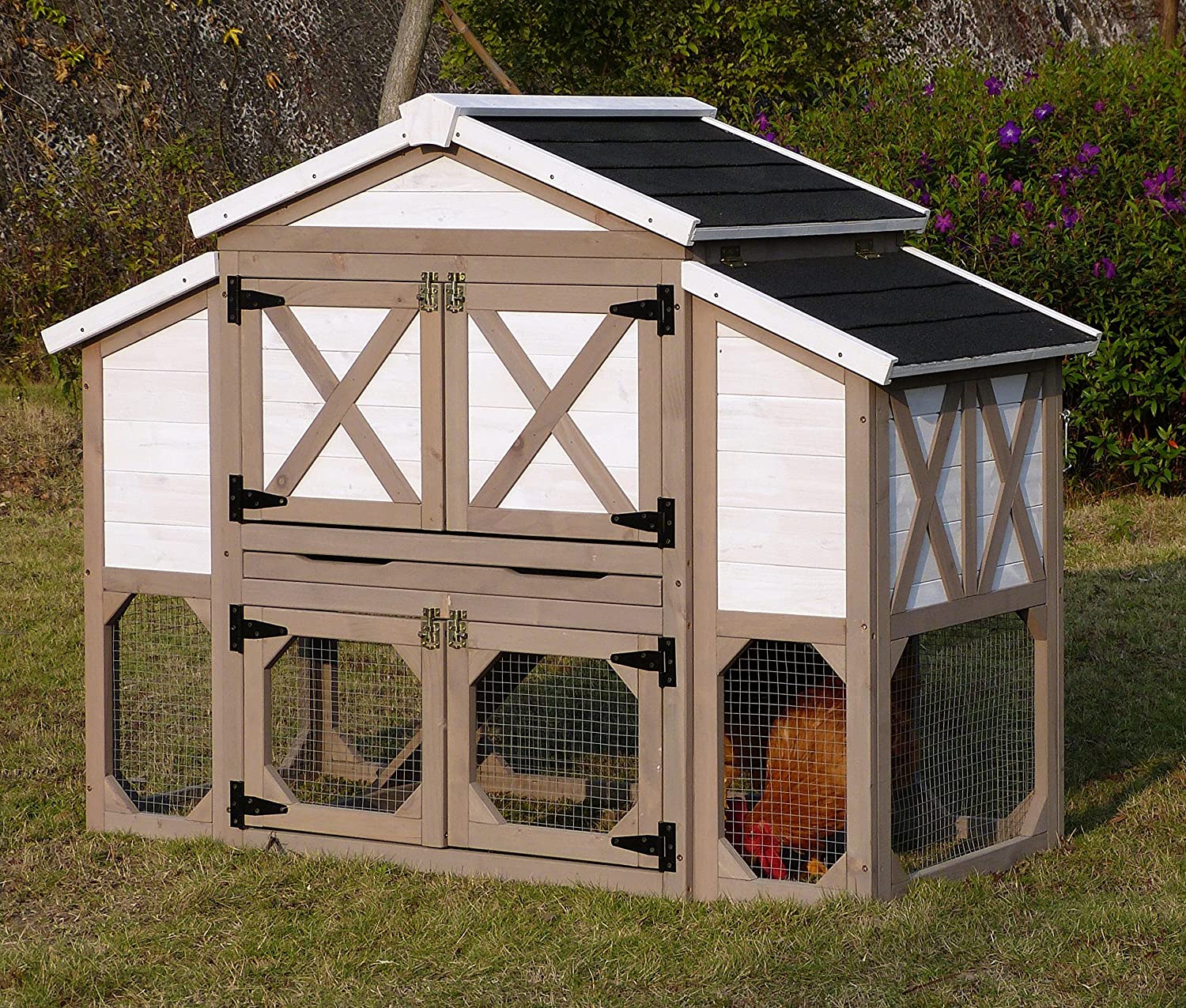 Chicken coop