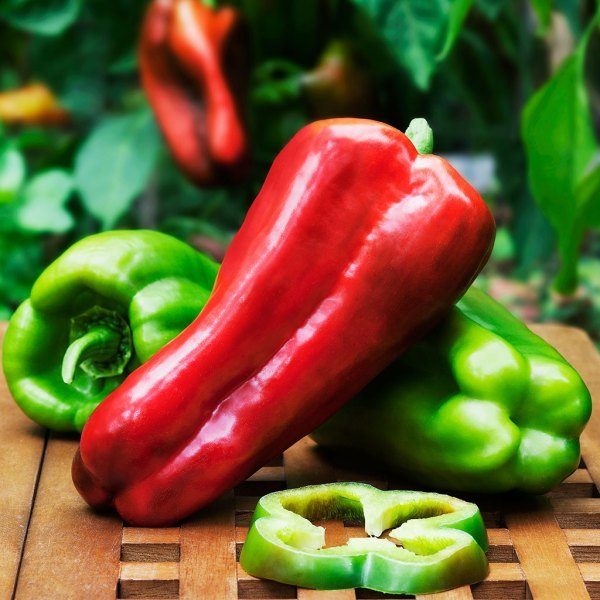 Harvest Vegetables