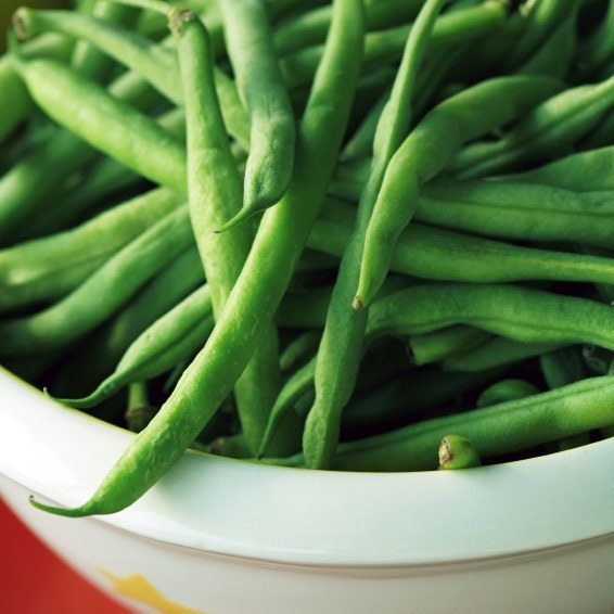 Harvest Vegetables